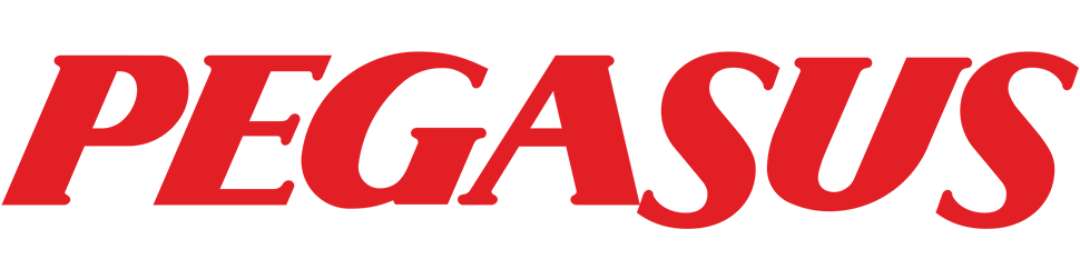 pegasus-1